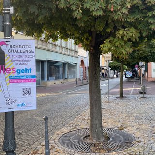 Poster der Schritte Challenge in Schwetzingen