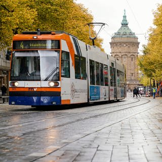 Die Innenstadt von Mannheim mit Blick auf den Wasserturm