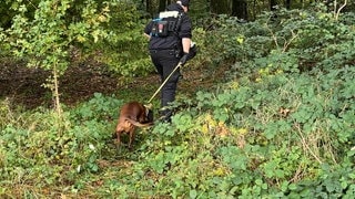 Tote Frau bei mannheimer Pferderennbahn