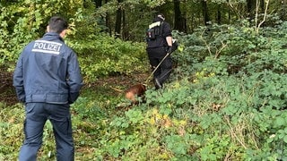 Tote Frau bei Mannheimer Pferderennbahn