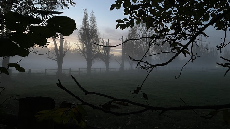 Nebel Vereine Neckarau