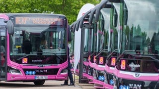 Mehrere lila Busse stehen auf einem Parkplatz. Auf der Busanzeige steht "Ersatzverkehr Riedbahn"