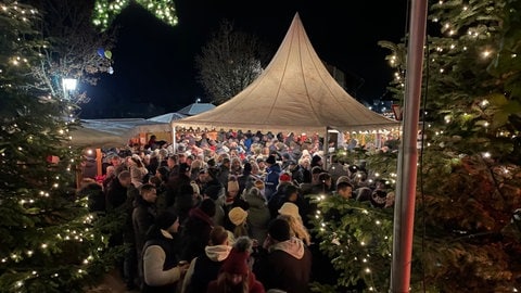 Zahlreiche Besucher stehen zwischen weihnachtlich beleuchteten Bäumen vor einem Zelt.