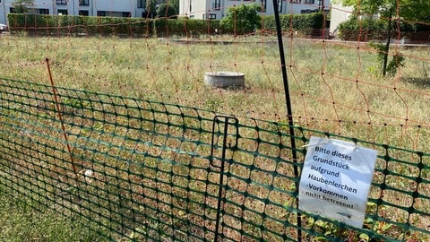 Ein Schutz- und ein Elektrozaun umgrenzendas Brutgebiet der Haubenlerche