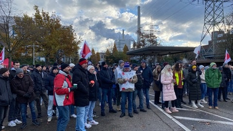 Warnstreik beim Großkraftwerk in Mannheim