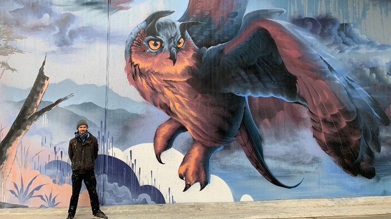 Greifvogel-Grafitti unter Ladenburger Brücke.