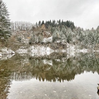 Tannen und andere Bäume am Ufer eines Sees im Odenwald sind leicht mit Schnee bedeckt.