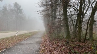 Die Alt-Deponie bei Jockgrim. Hier treten gefährliche Stoffe aus. Der Kreis Germersheim will dafür nicht verantwortlich sein.