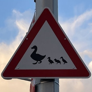 Ein Verkehrsschild mit Enten in Heidelberg