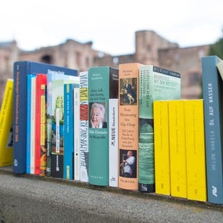 Bücher stehen in Heidelberg auf einer Mauer