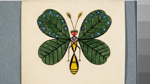 Schmetterling von August Natterer (1911)