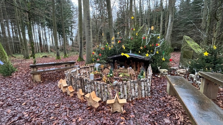 Weihnachtskrippe mitten im Wald