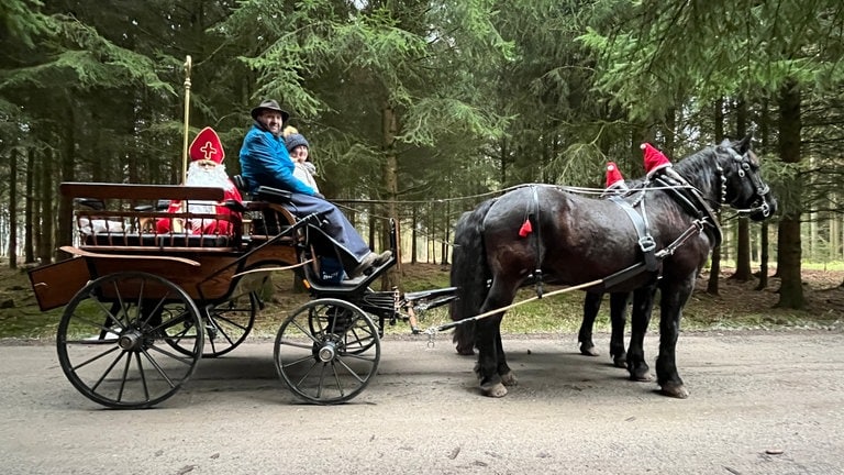 Weihnachtsmann fährt in einer Kutsche durch den Wald