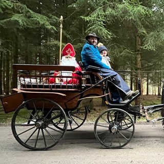 Weihnachtsmann fährt in einer Kutsche durch den Wald