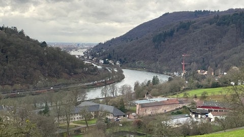 Blick von oben auf die Anlagen des Stift Neuburg in Heidelberg-Ziegelhausen