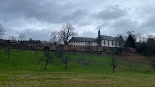 Blick von der Straße auf Stift Neuburg