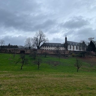 Blick von der Straße auf Stift Neuburg