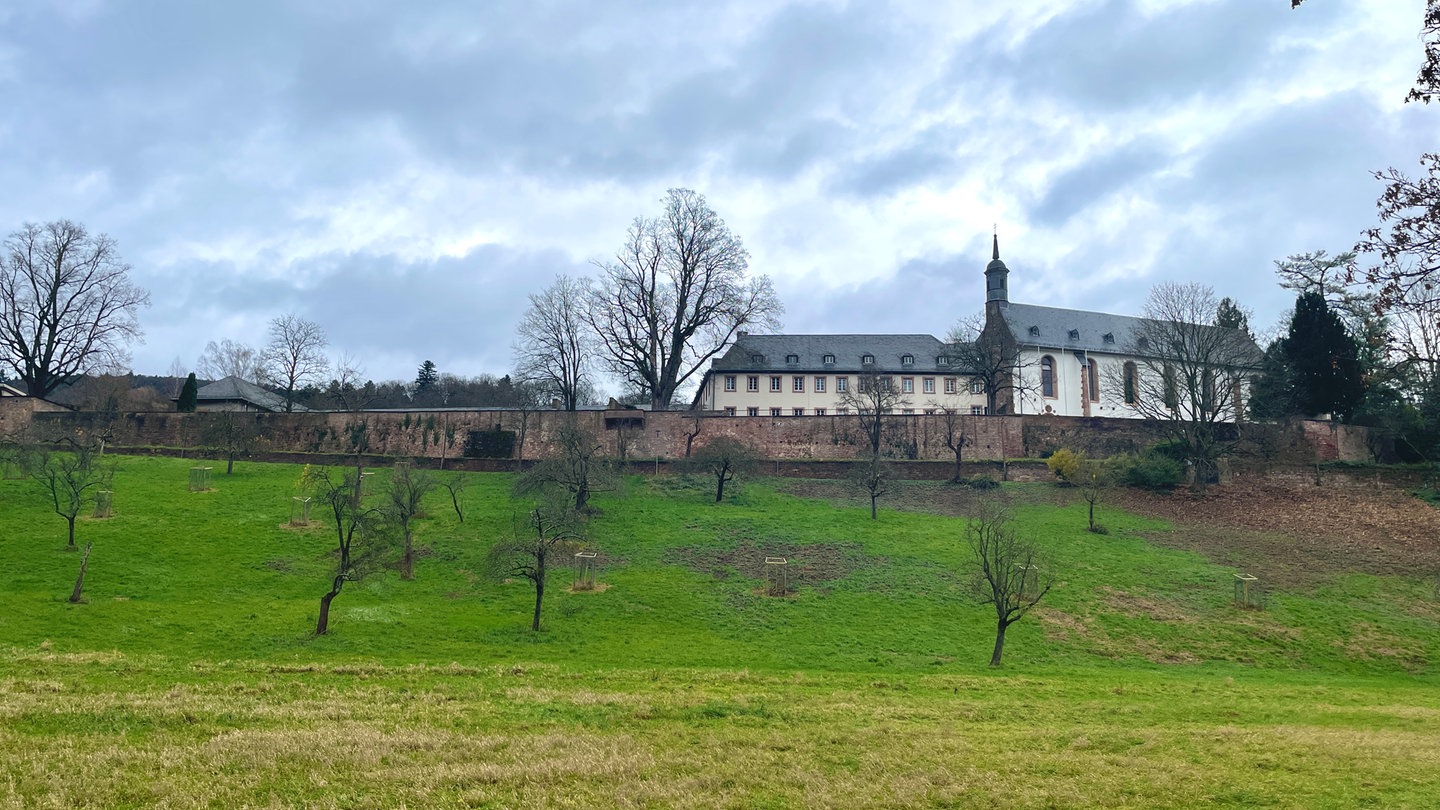 Eine Außenansicht des Klosters Stift Neuburg in Heidelberg