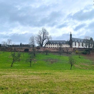 Eine Außenansicht des Klosters Stift Neuburg in Heidelberg