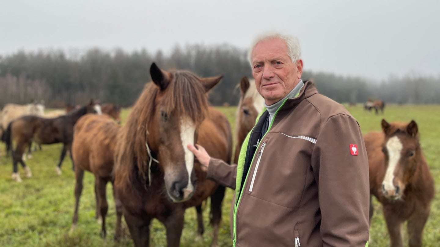 Hans Zollmann mit seinen Pferden auf der Koppel