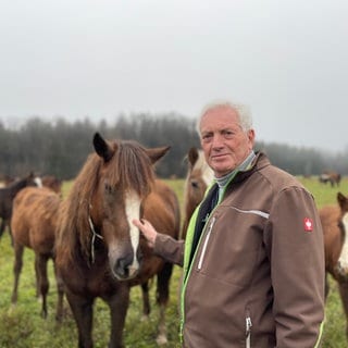 Hans Zollmann mit seinen Pferden auf der Koppel