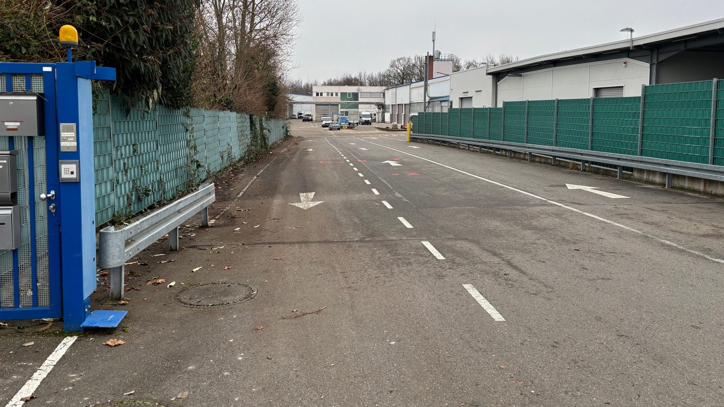 Auf diesem Firmengelände in Hirschberg (Rhein-Neckar-Kreis) soll am Samstag ein Mann mit einem Beil und einem Messer randaliert haben. Auf der Zufahrtstraße zu dem Gelände sind pinkfarbene Markierungen auf den Asphalt aufgebracht.