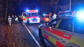 Auf der Landstraße bei Hockenheim sind Rettungskräfte von der Feuerwehr, ein Krankenwagen und ein Notarztfahrzeug im Einsatz.