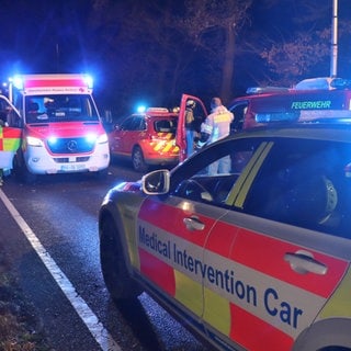 Auf der Landstraße bei Hockenheim sind Rettungskräfte von der Feuerwehr, ein Krankenwagen und ein Notarztfahrzeug im Einsatz.