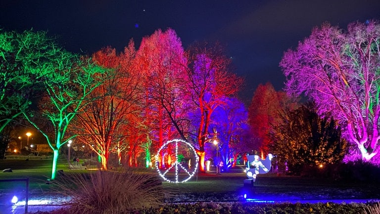 Die diesjährigen Winterlichter im Mannheimer Luisenpark stehen unter dem Motto "Flower Power" und "Love and Peace", zum Beispiel ist ein leuchtendes Peace-Zeichen und eine Friedenstaube zu sehen.