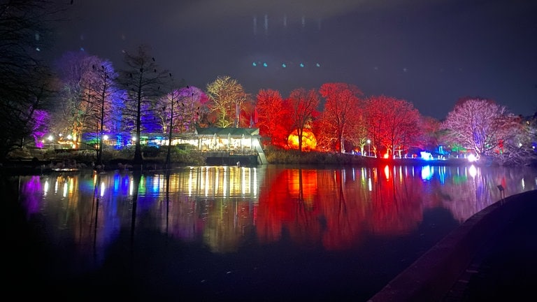 Zwischen den angestrahlten Bäumen im Mannheimer Luisenpark ist auch ein leuchtend-roter Feuerball zu sehen.