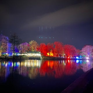 Zwischen den angestrahlten Bäumen im Mannheimer Luisenpark ist auch ein leuchtend-roter Feuerball zu sehen.