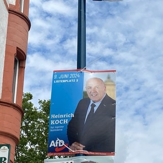 An einem Laternenpfahl hängt ein Wahlplakat der AfD Mannheim