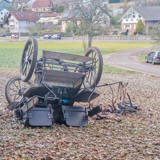 Pferd scheut und wirft Kutsche um Stadtteil Götzingen in Buchen (Neckar-Odenwald-Kreis)