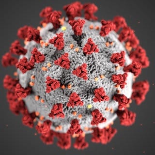 Grafische Darstellung des Coronavirus