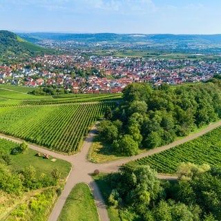 Blick auf den Skulpturenpfad, Weinberge und Wälder im Rems-Murr-Kreis.