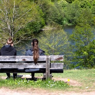 Der Bärensee in Stuttgart ist ein beliebtes Ausflugsziel. Für Sanierungsarbeiten wird der See laut Stadtverwaltung bis Sommer 2023 trocken gelegt.