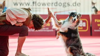 Dogdance-Europameisterschaft beim Messeherbst Stuttgart