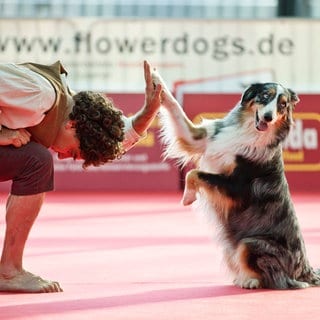 Dogdance-Europameisterschaft beim Messeherbst Stuttgart