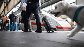 Reisende sollten genügend Zeit einplanen, wenn sie vom Stuttgarter Hauptbahnhof aus ihre Reise antreten oder dort ankommen. Auf dem Bild sind Reisende und ein Hund am Bahngleis vor einem ICE zu sehen.