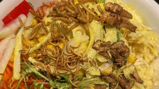 Bunter Salat mit essbaren Insekten