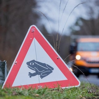 Ein Schild weist auf die Krötenwanderung hin. Weil die Amphibien bei ihrem Weg zu den Laichplätzen oft über Straßen wandern, besteht die Gefahr, dass sie überfahren werden.