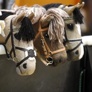 Steckenpferde stehen nebeneinander und schauen geradeaus. 62 Steckenpferde treten beim Hobby-Horsing Turnier in Sillenbuch bei Stuttgart gegeneinander an.