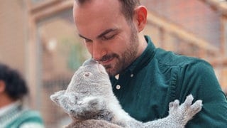 Tierpfleger Marcel Schneider kümmert sich um die Koalas in der Wilhelma Stuttgart.