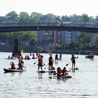 Aktivisten der Bewegung "Critical Nass" sind auf dem Neckar mitten in der Stadt Stuttgart unterwegs. 