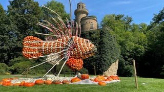 Ein Feuerfisch aus Kürbissen bei der Kürbis-Ausstellung im Blühenden Barock in Ludwigsburg 2023