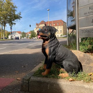 Plastikhund Iwan an der Straße in Esslingen