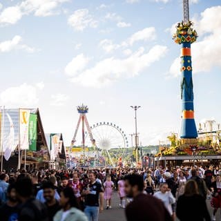 Das 176. Cannstatter Volksfest war laut den Veranstaltern das erfolgreichste seit 20 Jahren. Es kamen über vier Millionen Besucher. Auf dem Bild sind viele Menschen auf dem Wasen zu sehen, im Hintergrund das Riesenrad und die Fruchtsäule.