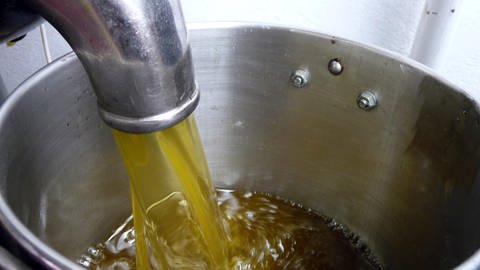 In einer tunesischen Olivenölpresse laufen mehrere Liter Olivenöl in einen Tank.