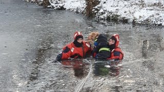 Feuerwehrleute retten einen Hund aus dem Riedsee.