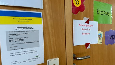 Schule in Herrenberg muss Räume wegen Ratten schließen